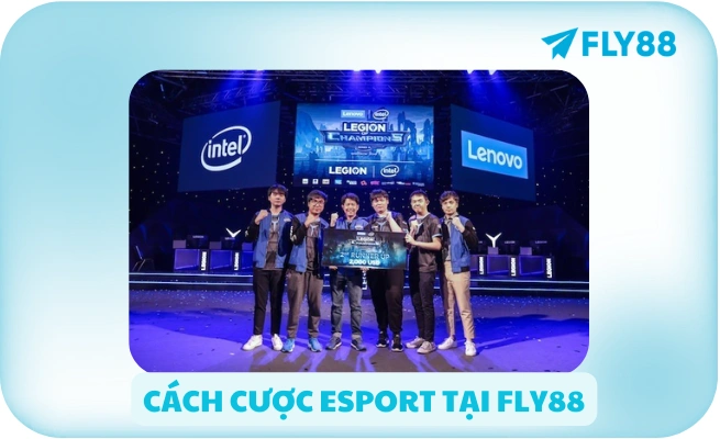 cach cuoc esport tai fly88 cách cược esport tại fly88