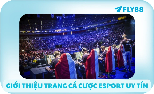 gioi thieu trang ca cuoc esport uy tin Giới thiệu trang cá cược esport uy tín