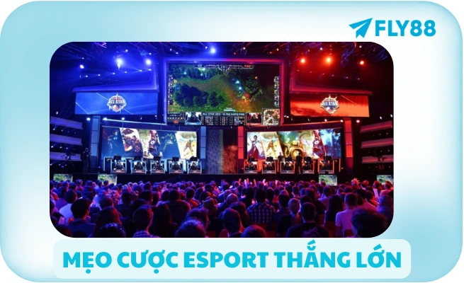 meo cuoc esport thang lon mẹo cược esport thắng lớn
